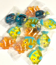 Load image into Gallery viewer, Tropical Gummy Fish 6 pieces
