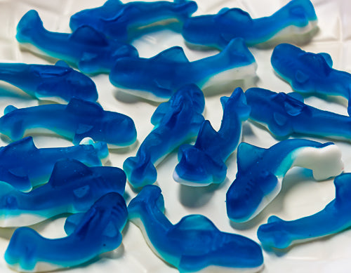 Blue Gummy Sharks 2.5kg - Sunshine Confectionery